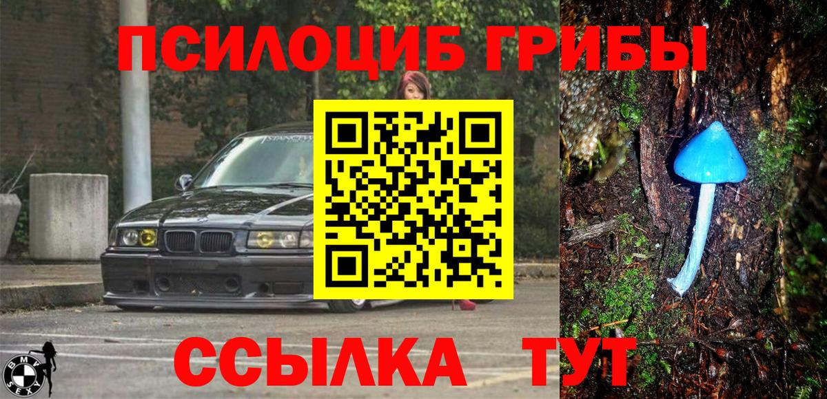 Псилоцибиновые грибы мухоморы Славгород